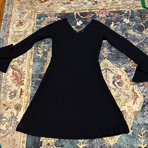 Ann Taylor Navy Long Sleeve Dress